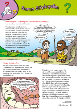 Neden saçımız ve tırnağımız kesilince acı hissetmeyiz?