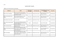 Milli Emlak M&uuml;d&uuml;rl&uuml;ğ&uuml; Rapor Tespit Tablosu