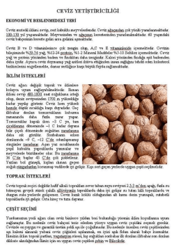 CEVİZ YETİŞTİRİCEİĞİ EKONOMİ vız stı. ENMED EKİ YERİ