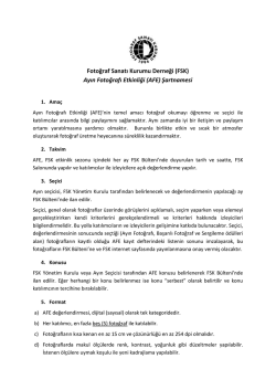 AFE Şartnamesi (pdf)