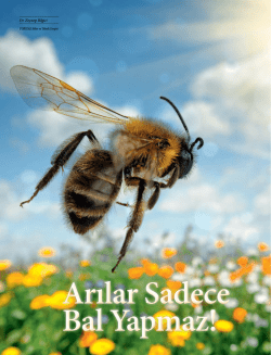 Arılar Sadece Bal Yapmaz