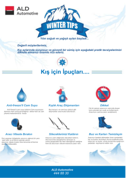 Kış i&ccedil;in İpu&ccedil;ları.