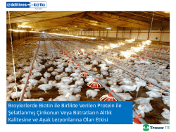 Broylerlerde Biotin ile Birlikte Verilen Protein ile