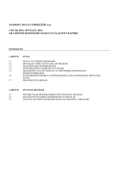 anadolu hayat emeklılık a