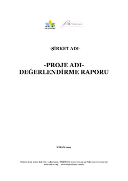 -PROJE ADI- DEĞERLENDİRME RAPORU