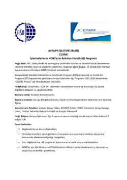 Avrupa İşletmeler Ağı