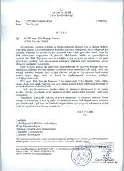 AYDIN VALİLİĞİ T&Uuml;RK BAYRAĞI KONULU