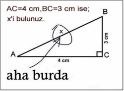 aha burda