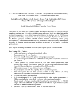 Tahir &Ouml;ng&uuml;r