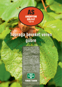 İndirmek i&ccedil;in tıklayınız
