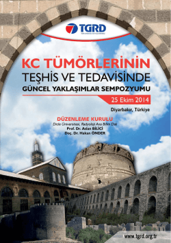 Belgeyi indirmek i&ccedil;in tıklayınız