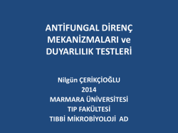 Antifungal Diren&ccedil; Mekanizmaları ve Duyarlılık Testleri, Nilg&uuml;n