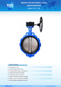 30 Butterfly wafer gear PN16