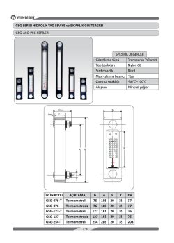 GSG SERİSİ HİDROLİK YAĞ SEVİYE ve SICAKLIK - Hid-Tek