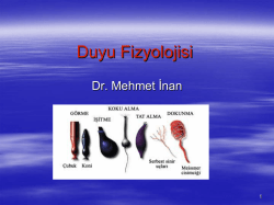 Duyu Fizyolojisi - Op. Dr. Mehmet İnan