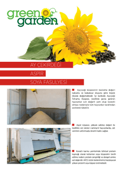 K&uuml;spe F&ouml;y - Aves Enerji