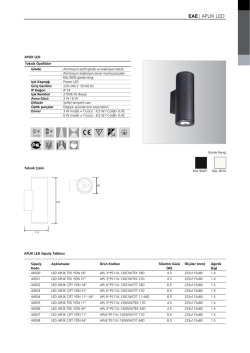 APLİK LED EAE