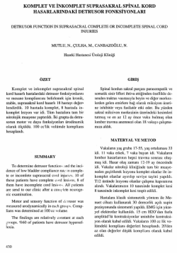 Tam Metin (PDF)