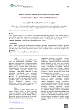 Bu PDF dosyasını indir
