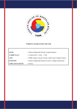 Madencilik Meclis Toplantı Raporu