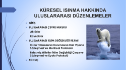 Araş.G&ouml;r. Mukaddes KORKMAZ S&Uuml;RER