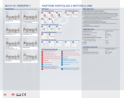 90101131 reborn 7 tr