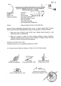 Ek 1 Halka Arz Gelirlerinin Kullanım Hakkındaki Y&ouml;netim Kurulu