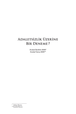 Adaletsizlik &Uuml;zerine Bir Deneme ?