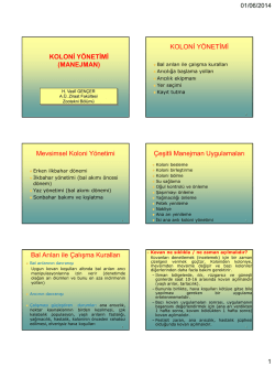 koloni y&ouml;netimi (manejman) - Ankara &Uuml;niversitesi Ziraat Fak&uuml;ltesi