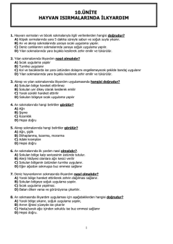 10.&uuml;nite hayvan ısırmalarında ilkyardım