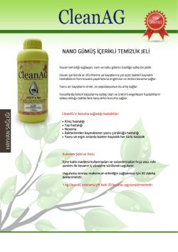 NANo G&Uuml;M&Uuml;Ş i&ccedil;ERikLi TEMİZLİK JELİ