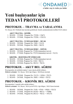 başlangı&ccedil;: standart protokoller