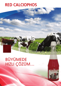 Page 1 RED CALCIOPHOS BL"JYL"J|\/|__ED_I HIZLI gozulvl... Page