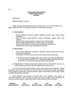 faaliyet raporu, hesap raporu, denetleme raporu