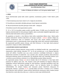 Colilert-18 Metodu ile Koliform ve E.Coli grubu bakteri tespiti