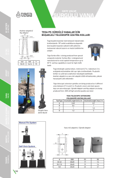 Download PDF File