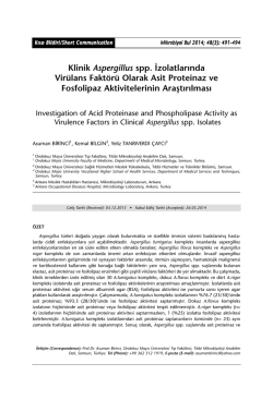 Klinik Aspergillus spp. İzolatlarında Vir&uuml;lans Fakt&ouml;r&uuml; Olarak Asit