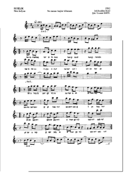 BUSELİK 1983 Nim Sofyan Ne zanıaiz başlar b&scaron;&scaron;inmez