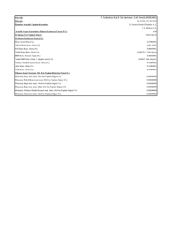 T. İş Bankası A.Ş B Tipi Şemsiye 2.Alt Fon