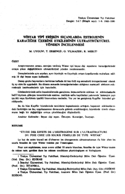 Bu PDF dosyasını indir