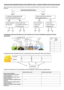 erzincan kazım karabekir anadolu lisesi coğrafya dersi 11