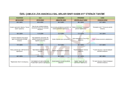 özel çamlıca liva anaokulu bal arıları sınıfı kasım ayı" etkinlik takvimi