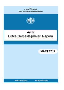2014 Mart Ayı Merkezi Y&ouml;netim B&uuml;t&ccedil;e Ger&ccedil;eklesmeleri Raporu