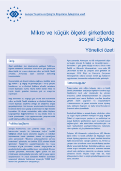 Mikro ve k&uuml;&ccedil;&uuml;k &ouml;l&ccedil;ekli şirketlerde sosyal diyalog - Eurofound