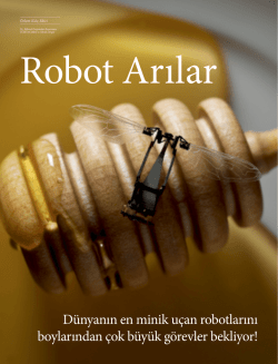 Robot Arılar (Pdf.)