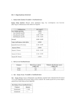 EK 3 : Değerlendirme Kriterleri