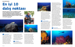 dalisnoktalari - TahsinCeylan.com