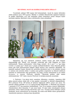 MEVSİMSEL MANTAR ZEHİRLENMELERİNE DİKKAT! Yery&uuml;z&uuml;nde