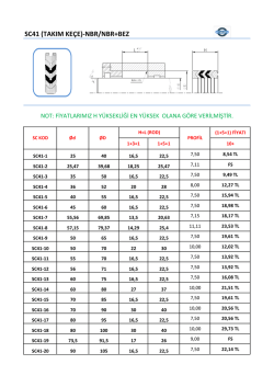 SC41 (TAKIM KE&Ccedil;E)-NBR/NBR+BEZ