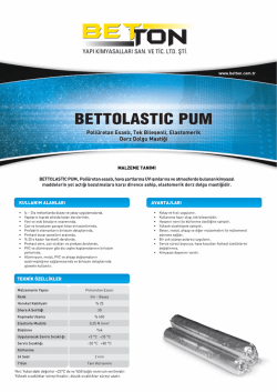bettolastıc pum
